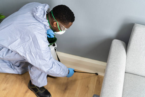 Best Bed Bug Extermination  in Dundee, OR